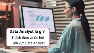 Data Analyst là gì? Khám phá Thách thức và Cơ hội trong nghề Data Analyst