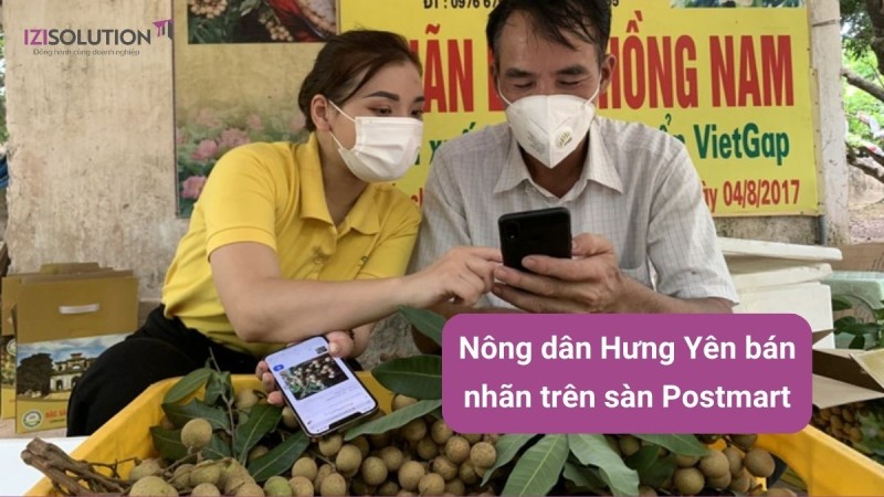 Nông dân Hưng Yên bán nhãn trên sàn Postmart