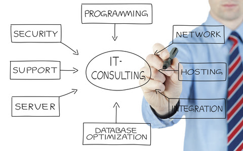 IT consultant