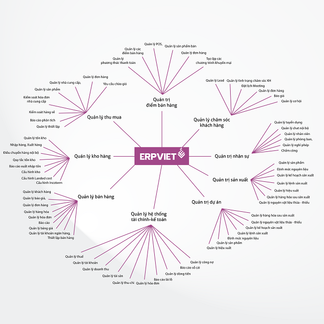 Hệ thống phần mềm quản trị doanh nghiệp ERPViet 03